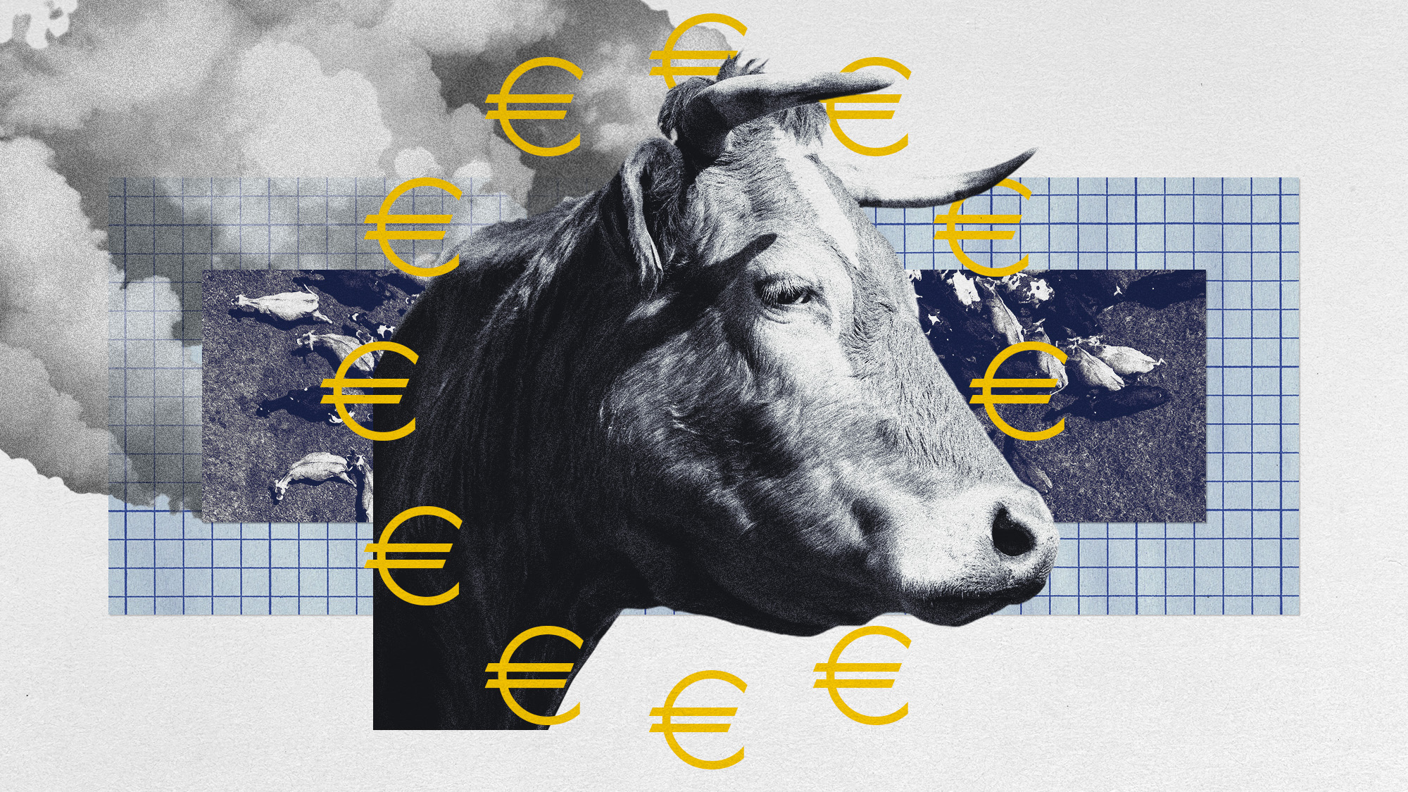  Gassy livestock are going to be taxed in Denmark 