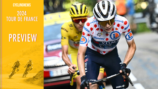 Tour de France stage 19 preview - Col de la Bonette key if Vingegaard is to wrest Tour de France from Pogačar's grasp 