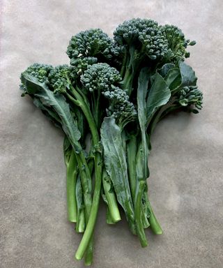 A fresh harvest of broccolini florets