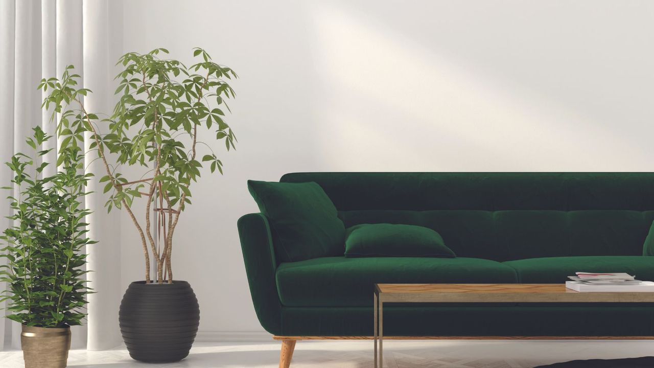 A green velvet sofa with wooden legs, coffee table, and two house plants against a white wall