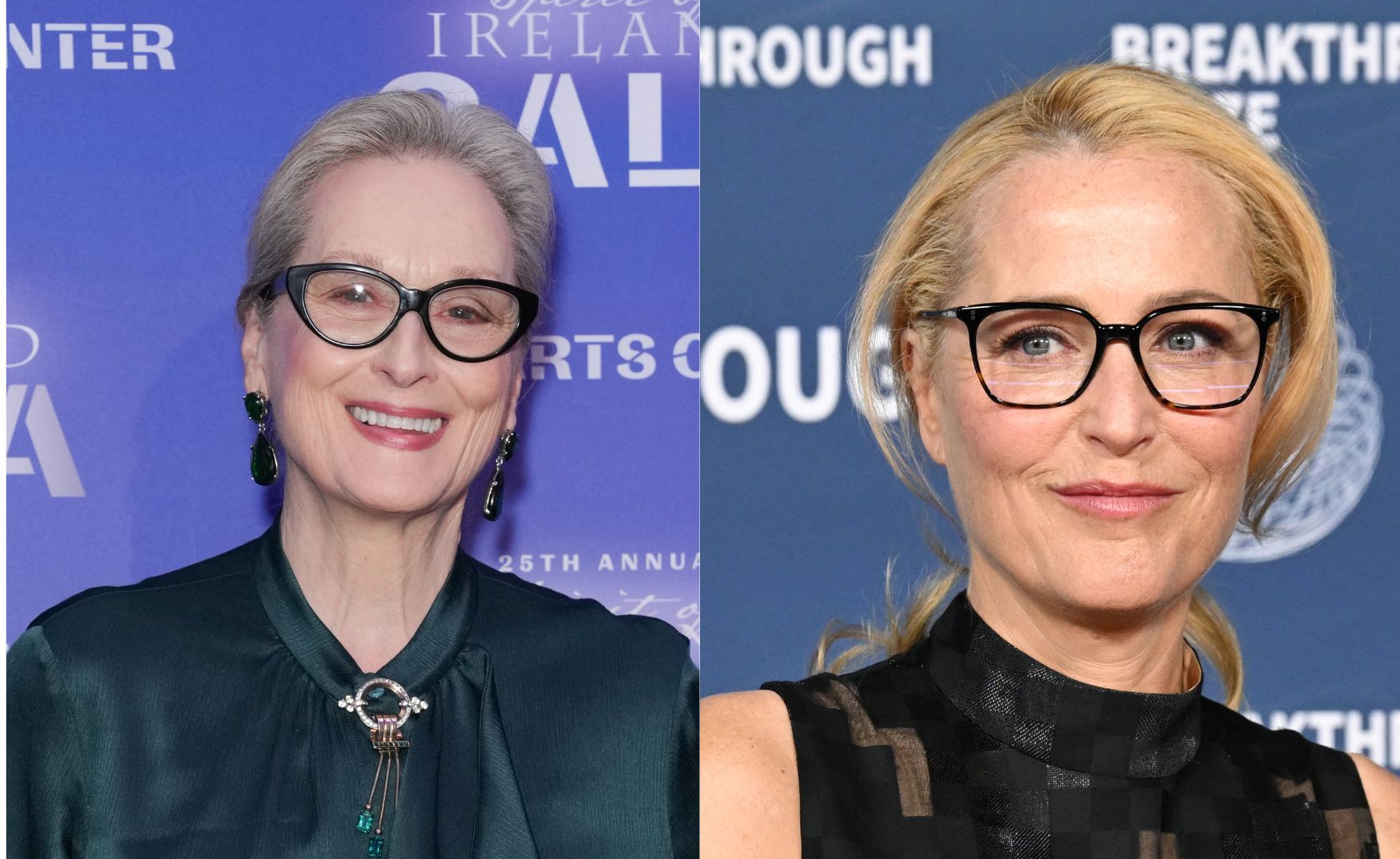 Image of Meryl Streep &amp;amp; Gillian Anderson