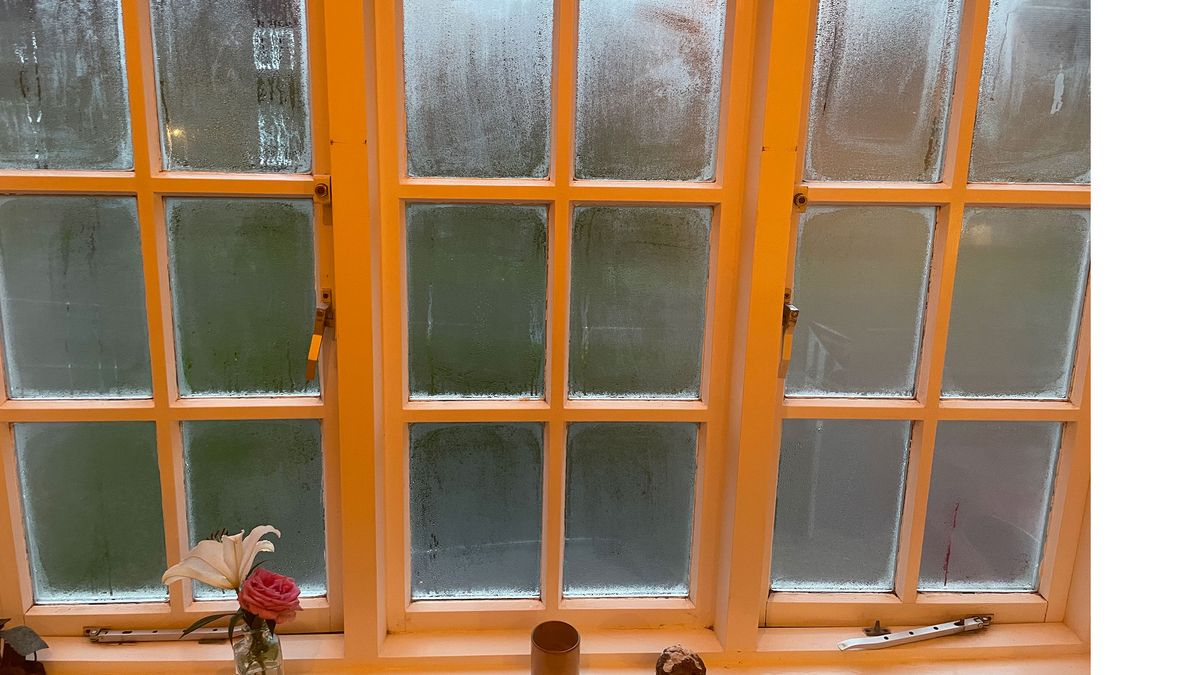 How to stop condensation on windows: An expert guide