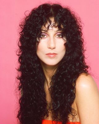 70s hair - cher