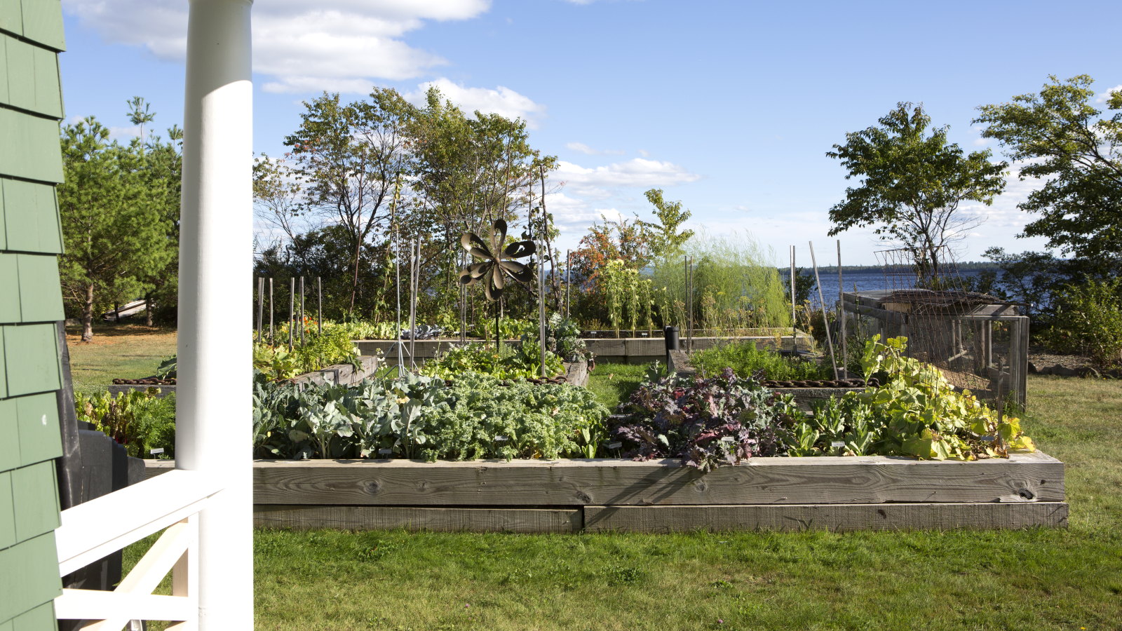 A raised bed vegetable garden surrounded by grass outside a house next to a lake