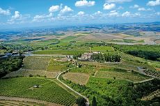 Conti-Costanti-Vineyard-Montalcino.jpg