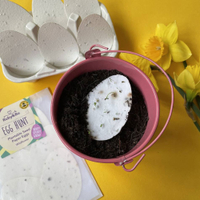 Ruby &amp; Ro 'Egg Hunt' Plantable Seed Paper Eggs | £5 at Not on the High Street