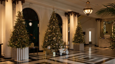 Three large Christmas trees placed in a hotel lobby with a view of the trees skirting and decor pieces finely presenting each Christmas tree.