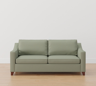 sleeper sofa