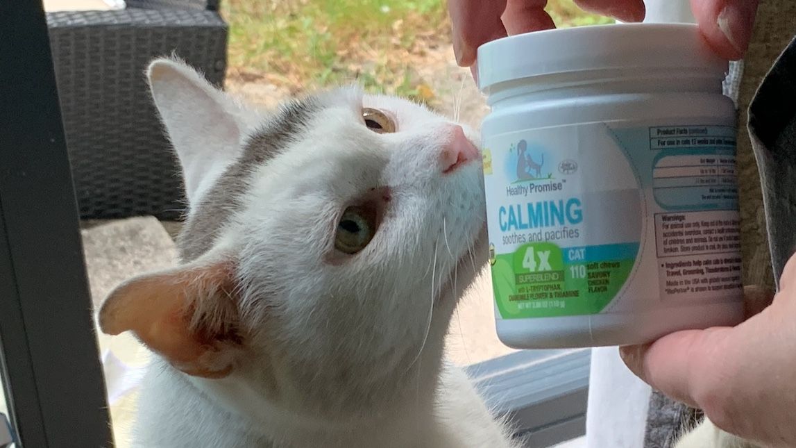 Calming cat treats