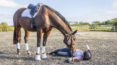 A rider on the ground after a fall from a horse