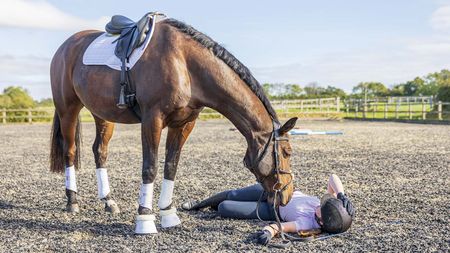 A rider on the ground after a fall from a horse