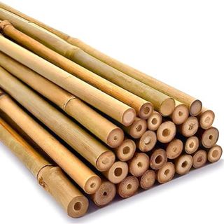 Bamboo sticks 