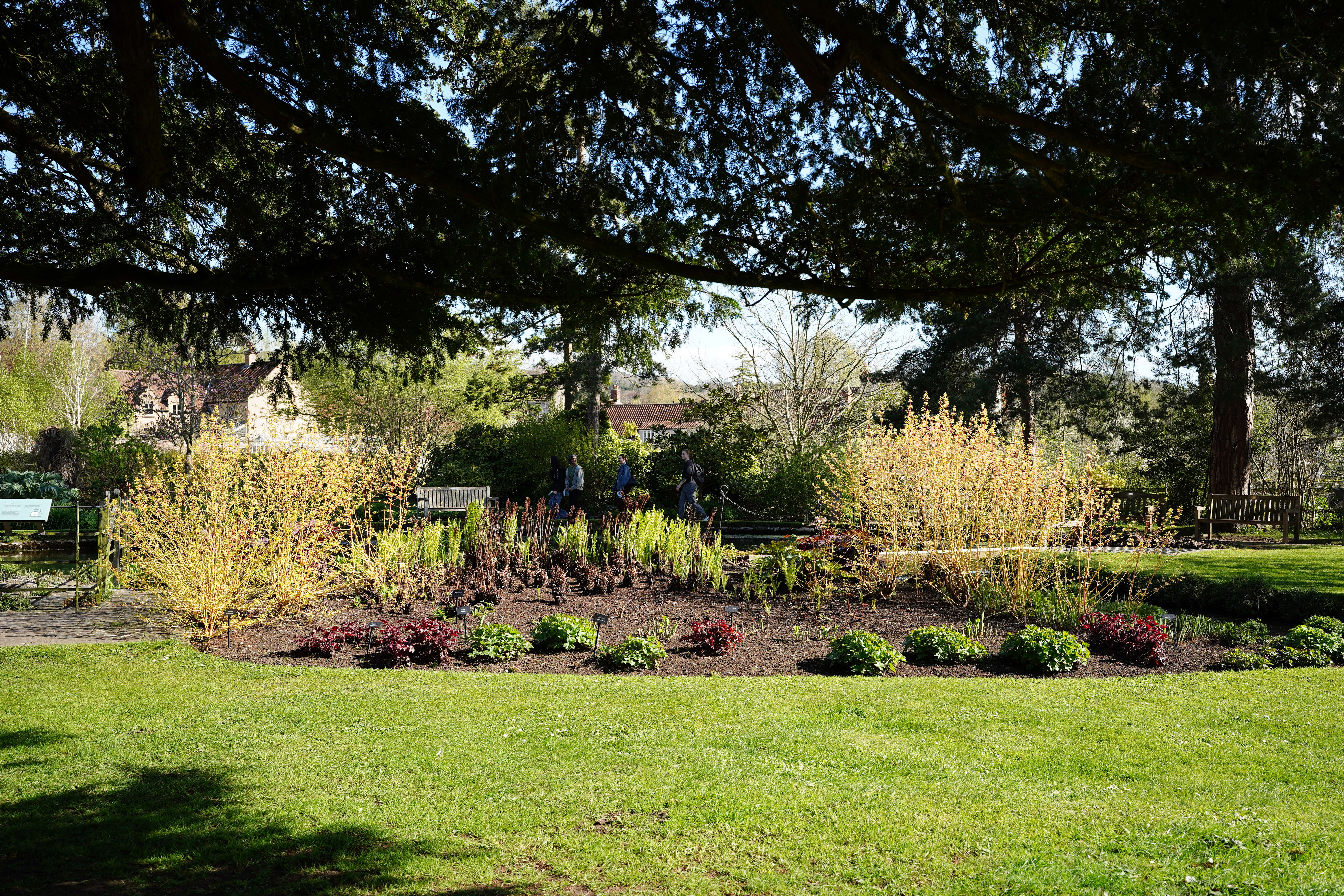 Sigma 35mm f/1.4 DG II Art sample image