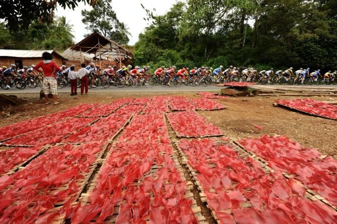 Red crackers dry in the Indonesian sun on Stage 2 at Tour de Singkarak
