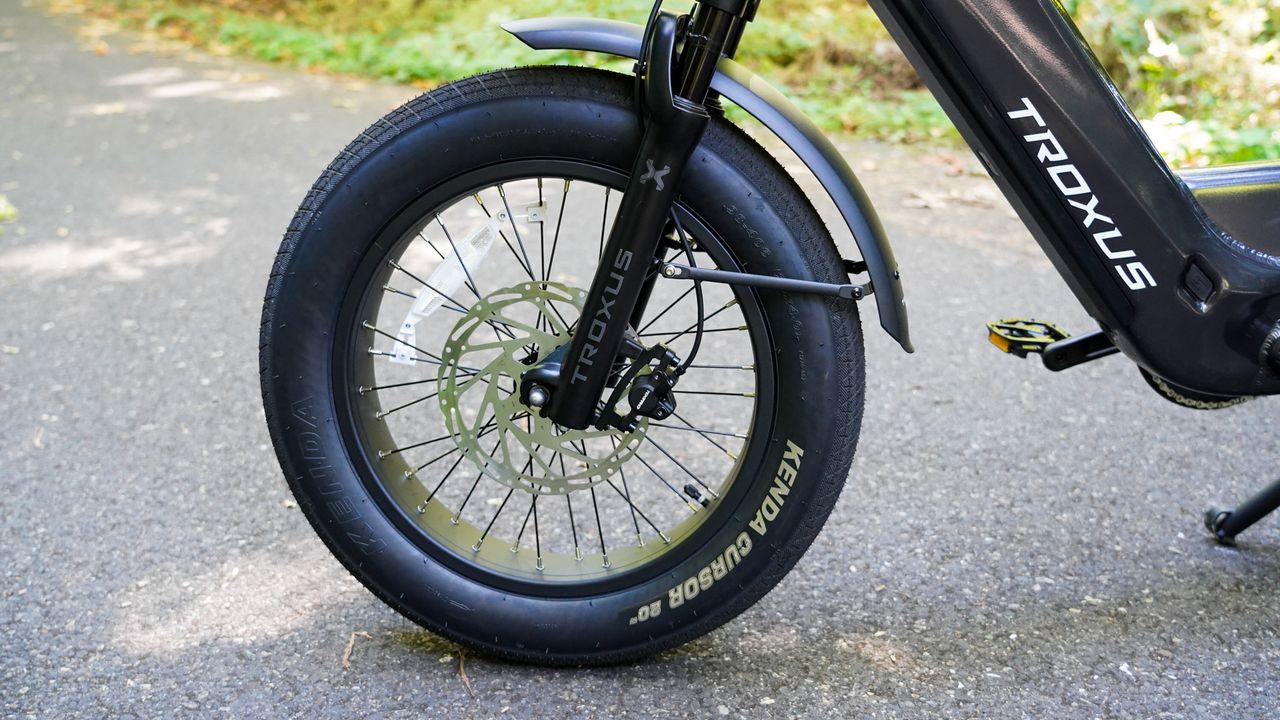 Troxus Lynx Cargo E-Bike
