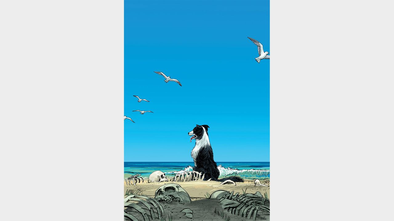 THE NICE HOUSE BY THE SEA #2
