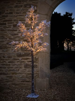 An outdoor Christmas tree