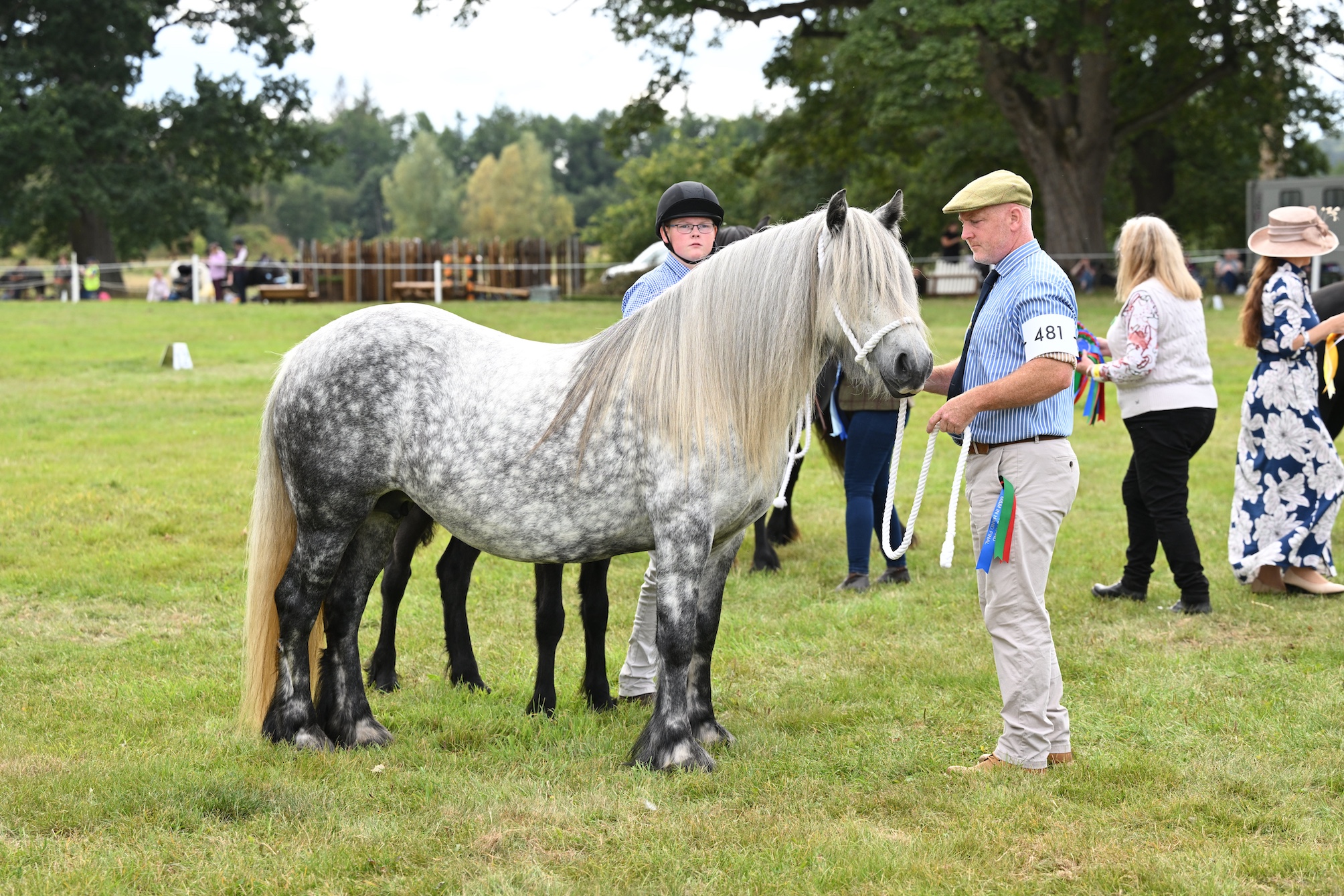Fell pony Bracklinn Beth handled by Alistair Smith, reserve supreme of show