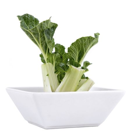 regrow bok choy