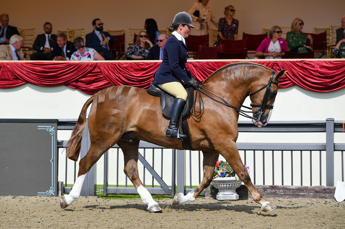 Royal Windsor Horse Show