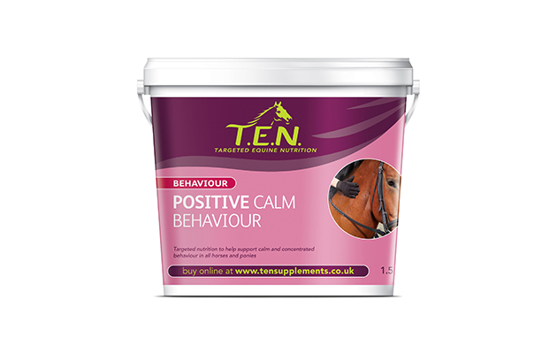 Behaviour_PostiveCalm
