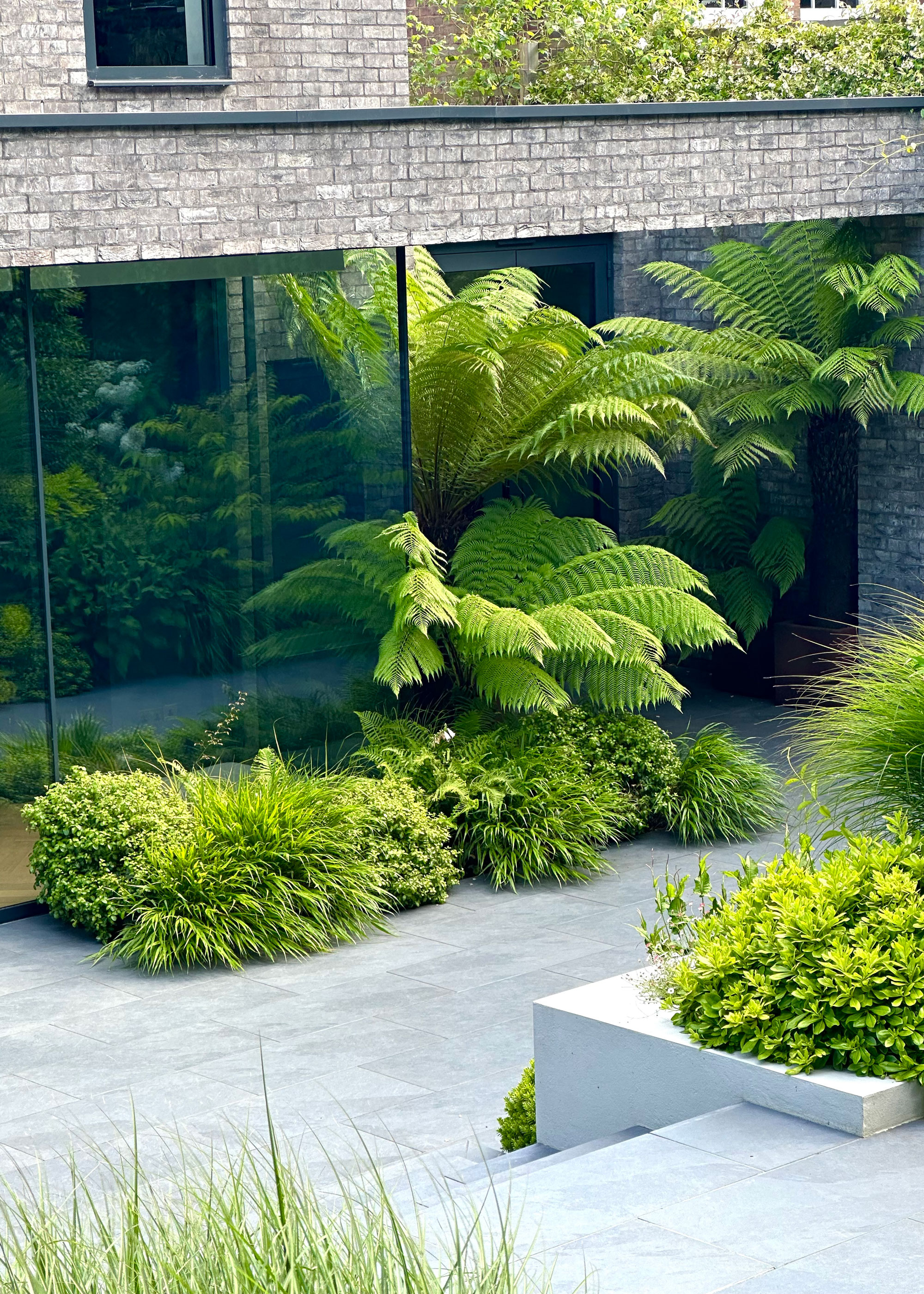 modern urban patio with steps and raised beds planted with ferns and ornamental grasses