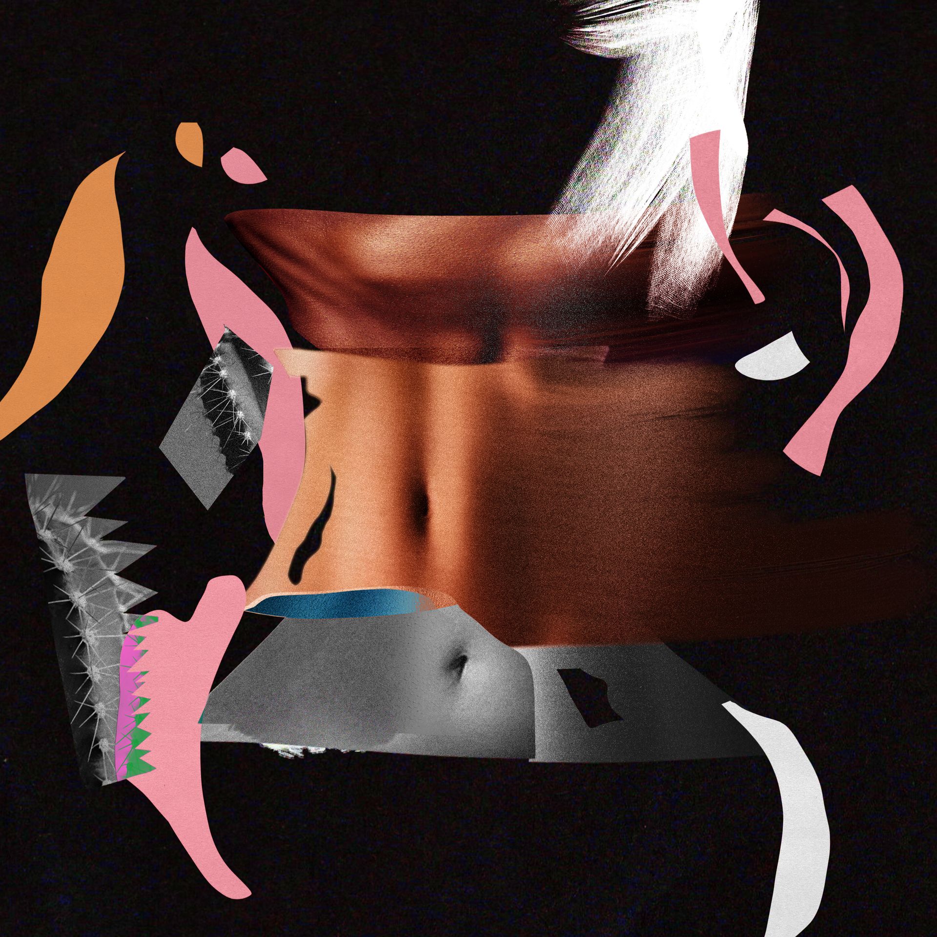 A collage of body parts, tools, and botanicals that represent the dangers of a BBL