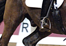 olympia11.jpg