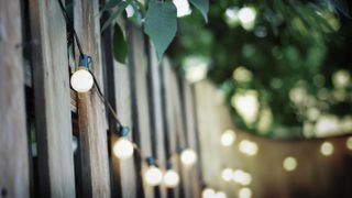 fairy lights over wooden fence