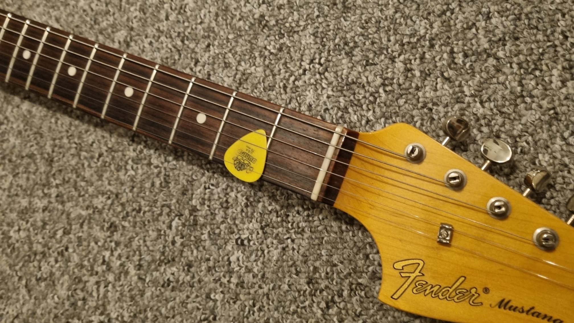 Fender Mustang headstock with Jim Dunlop Tortex Standard Pick