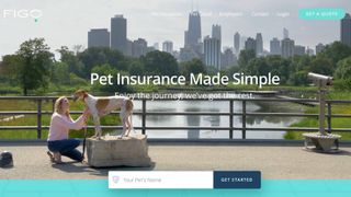 Figo pet insurance website
