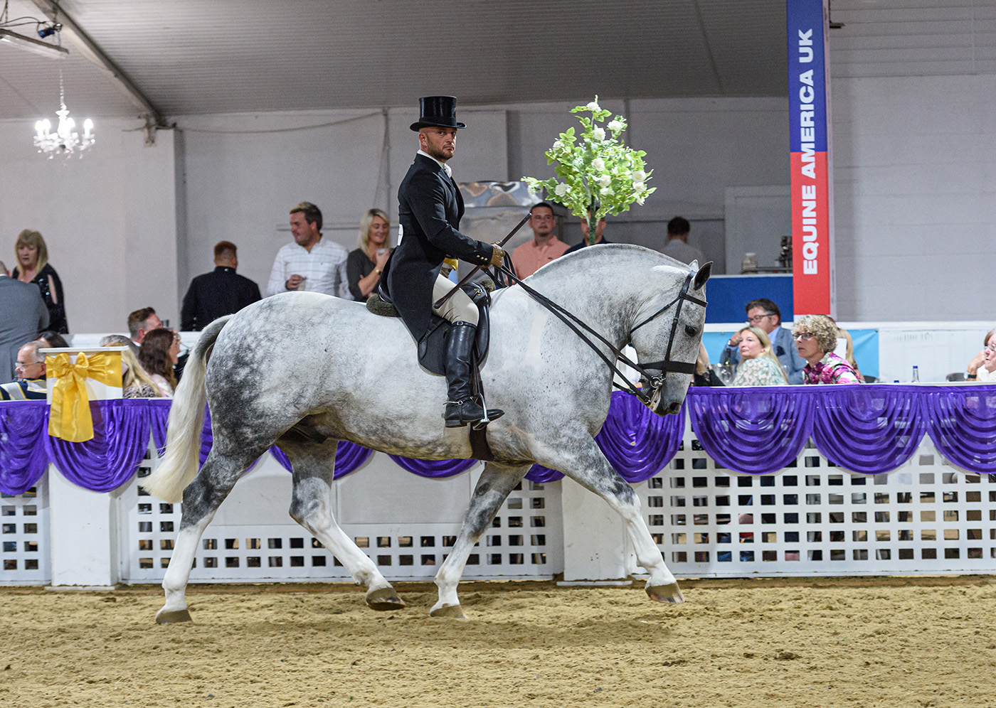 Jordan Cook and PATTERN MASTER - BHSA National Championship Show 2021
