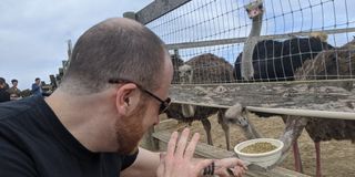 Eric Eisenberg feeding an ostrich