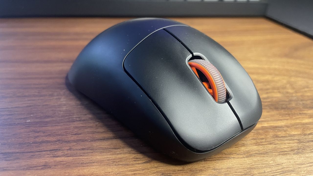 A Steelseries Rival Pro gaming mouse.