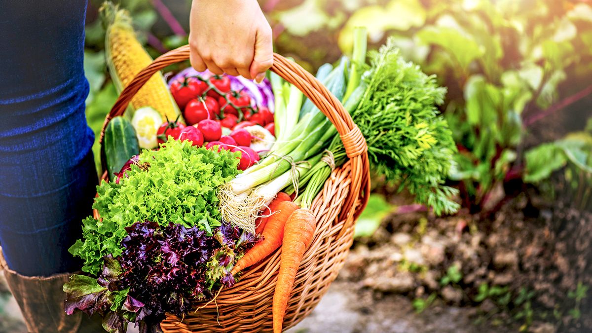 October Isn’t Too Late to Plant – These 10 Vegetables Deliver Harvests Through Fall and Beyond