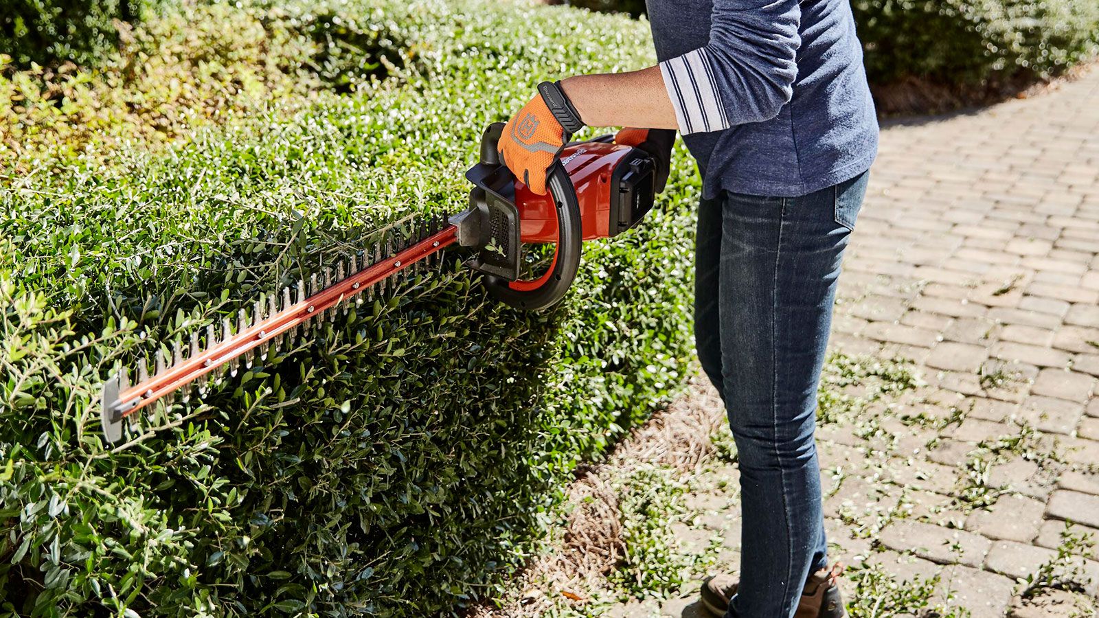 Husqvarna 115iHD55 cordless battery hedge trimmer review