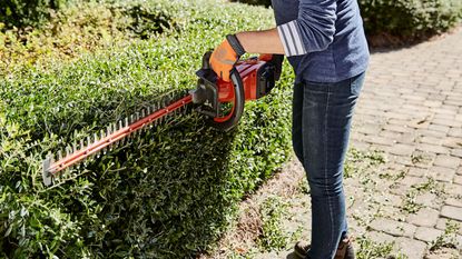 person cutting a front yard hedge with a cordless hedge trimmer