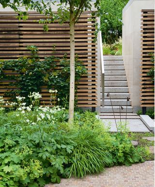 Fence decorating ideas in a modern garden with slatted fence panels and granite steps.