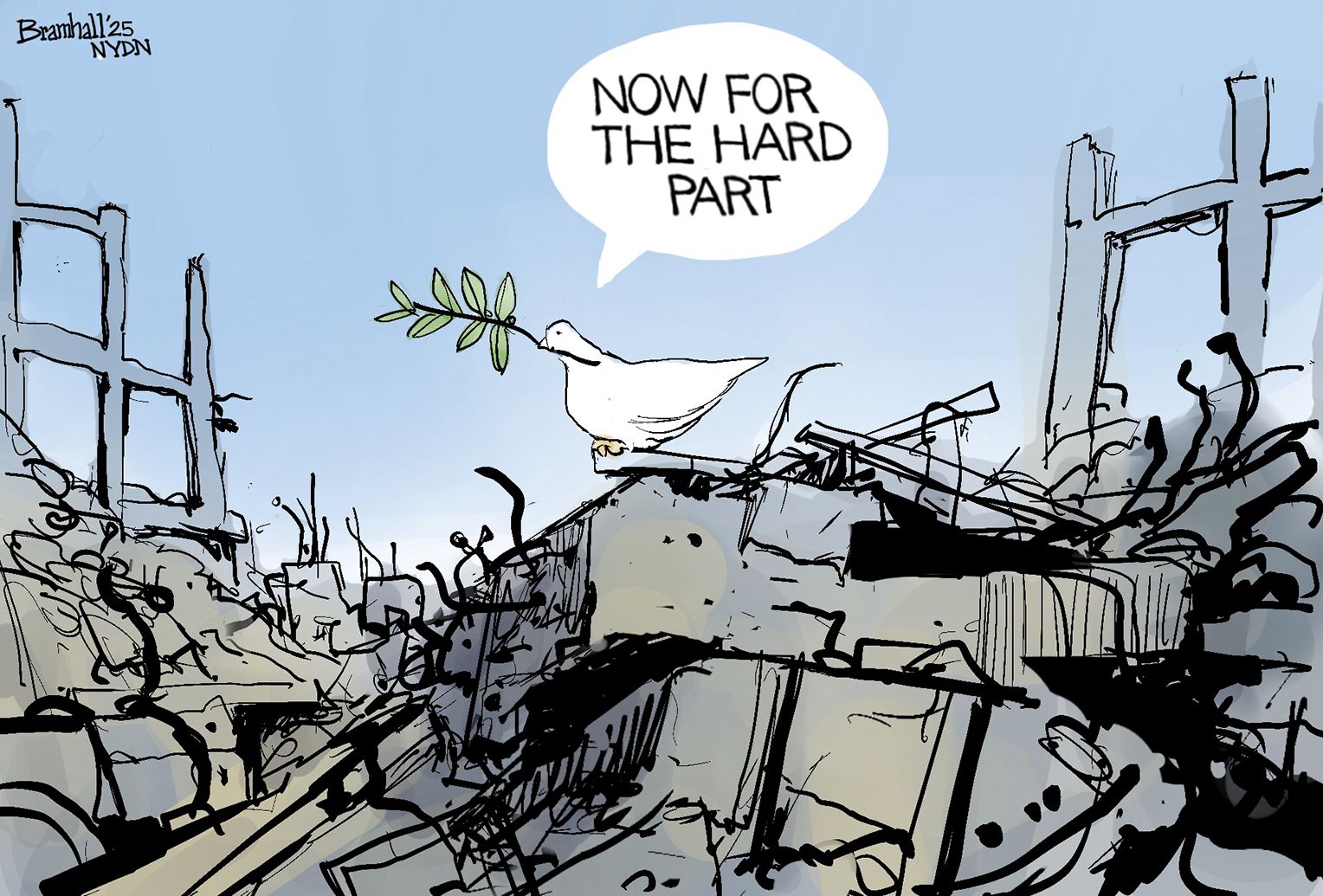 
                                This image depicts a dove with an olive branch of peace in its mouth. It sits atop ruins of war-torn buildings and says, “Now for the hard part.”
                            