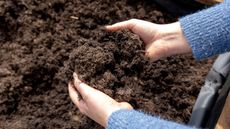 Gardener holds soil in hands above wheelbarrow of soil