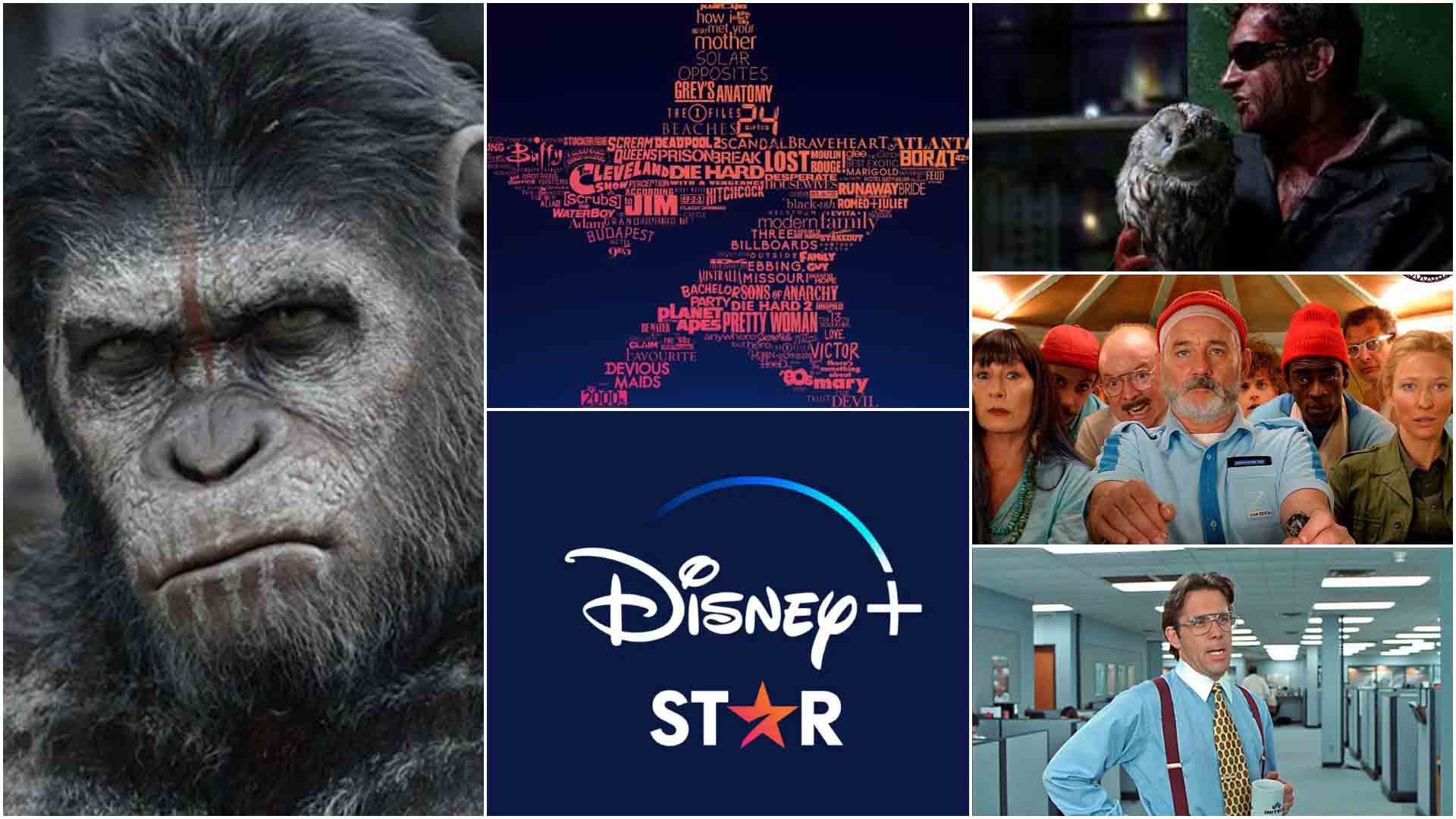 Star on Disney Plus: 15 movies and shows to binge watch