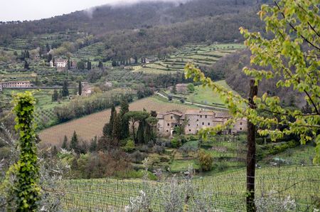 View of Lamole in Chianti Classico. Chianti Classico Gran Selezione
