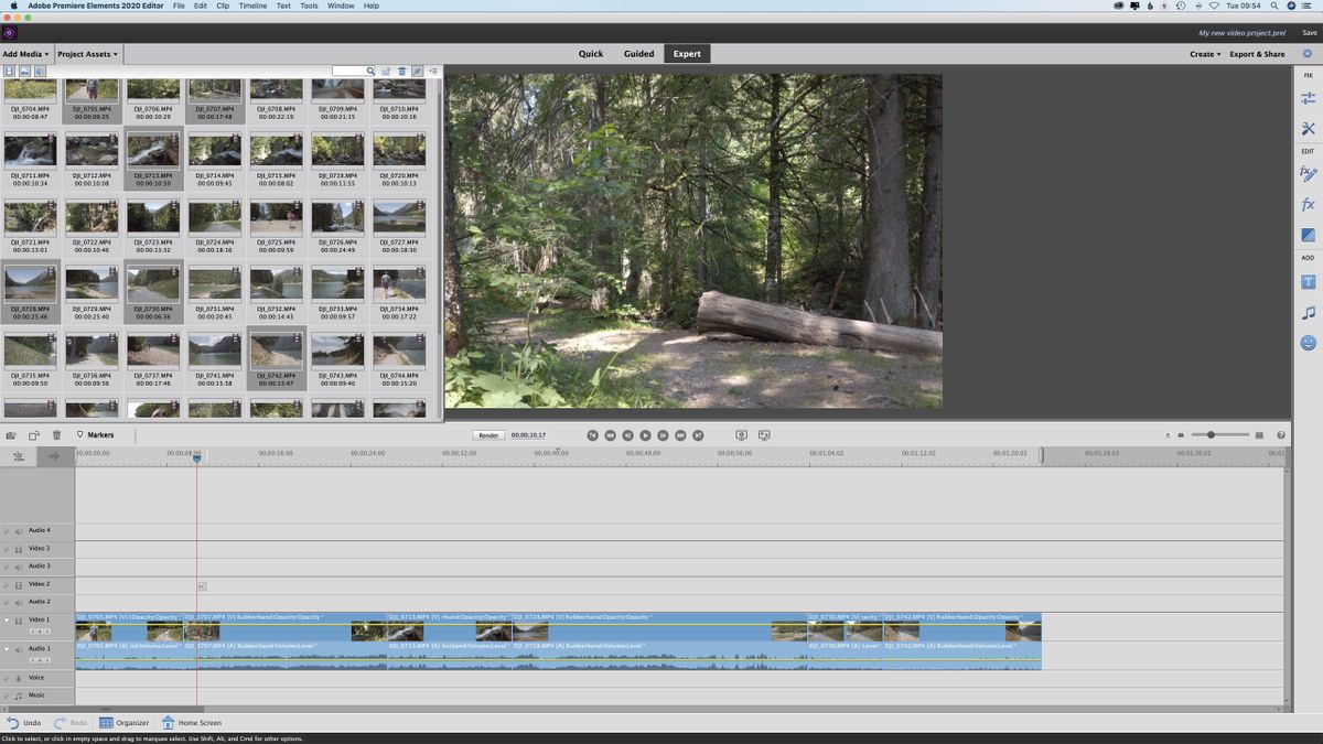 buy adobe premiere elements 2020