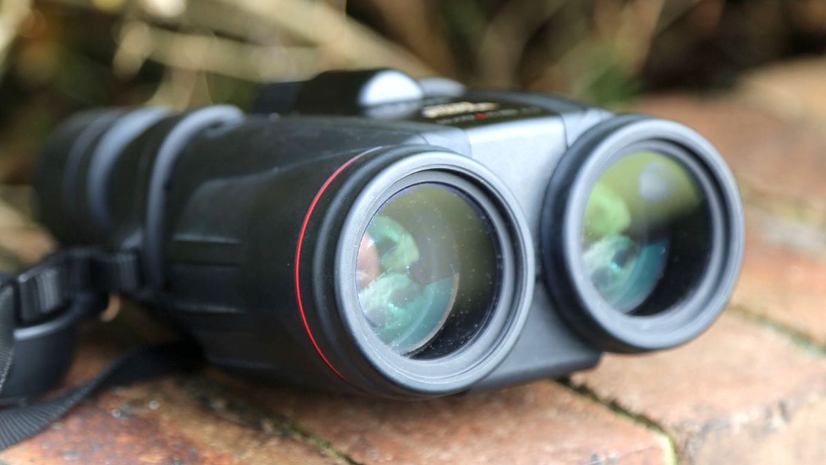Canon 10x42L IS WP binoculars review | Space