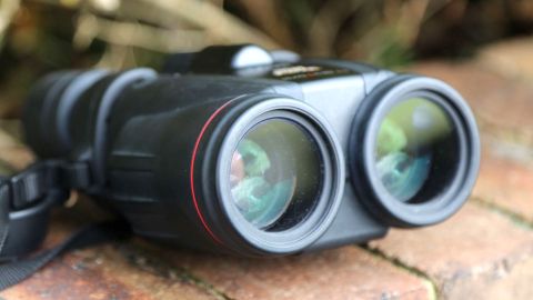 Image shows the Canon 10x42L IS WP binoculars resting on a brick wall.
