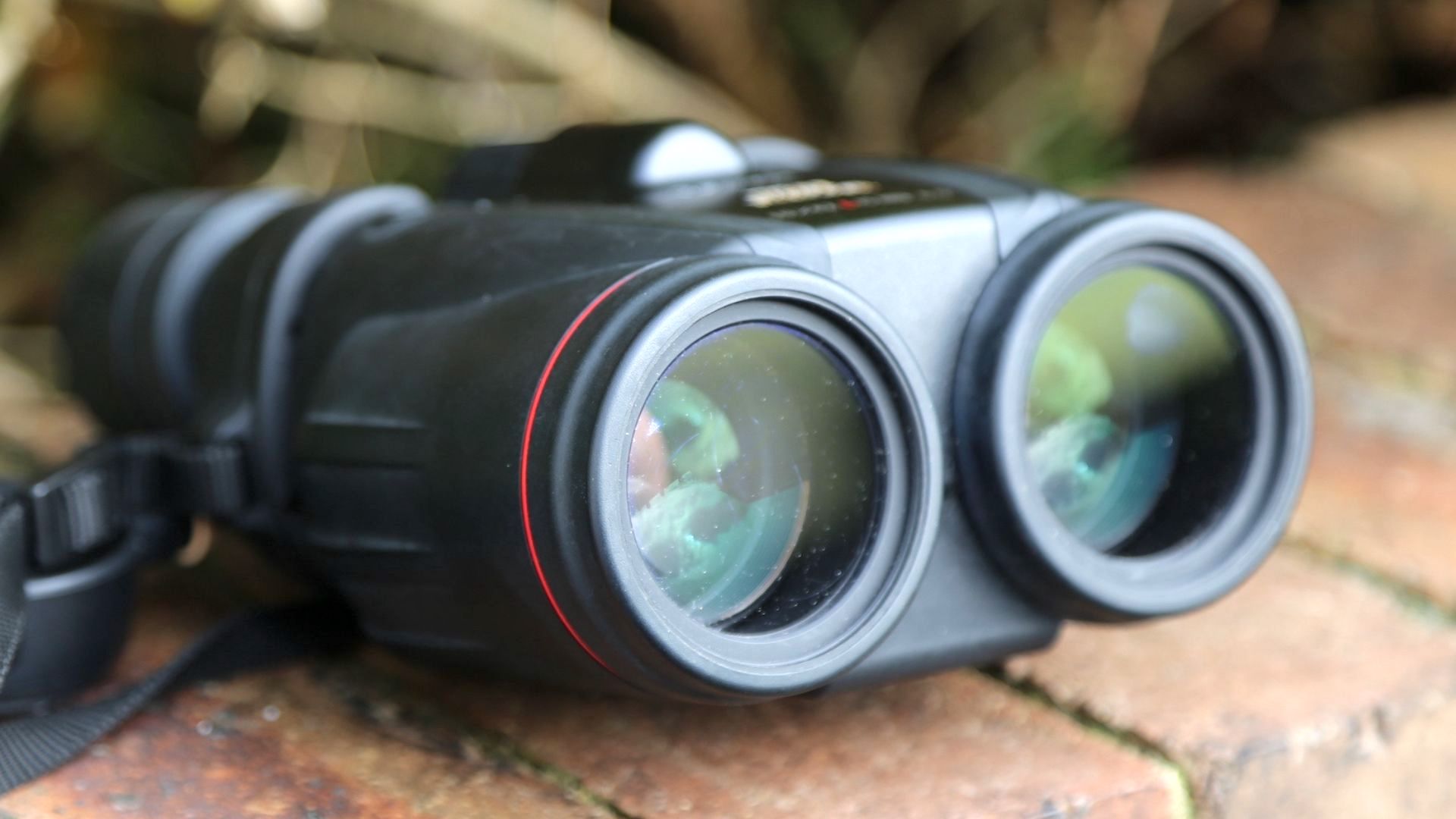 Canon 10x42L IS WP review: image shows Canon 10x42L IS WP binoculars