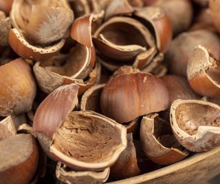 Hazelnut shells in wooden bowl