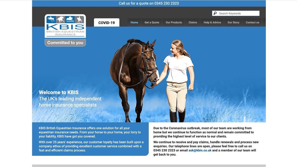 Get the best equine insurance for the most expensive friend in your