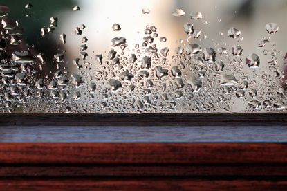 Condensation on windows