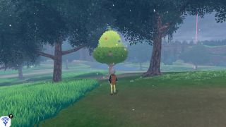 find a berry tree in the world of Pokémon Sword and Shield